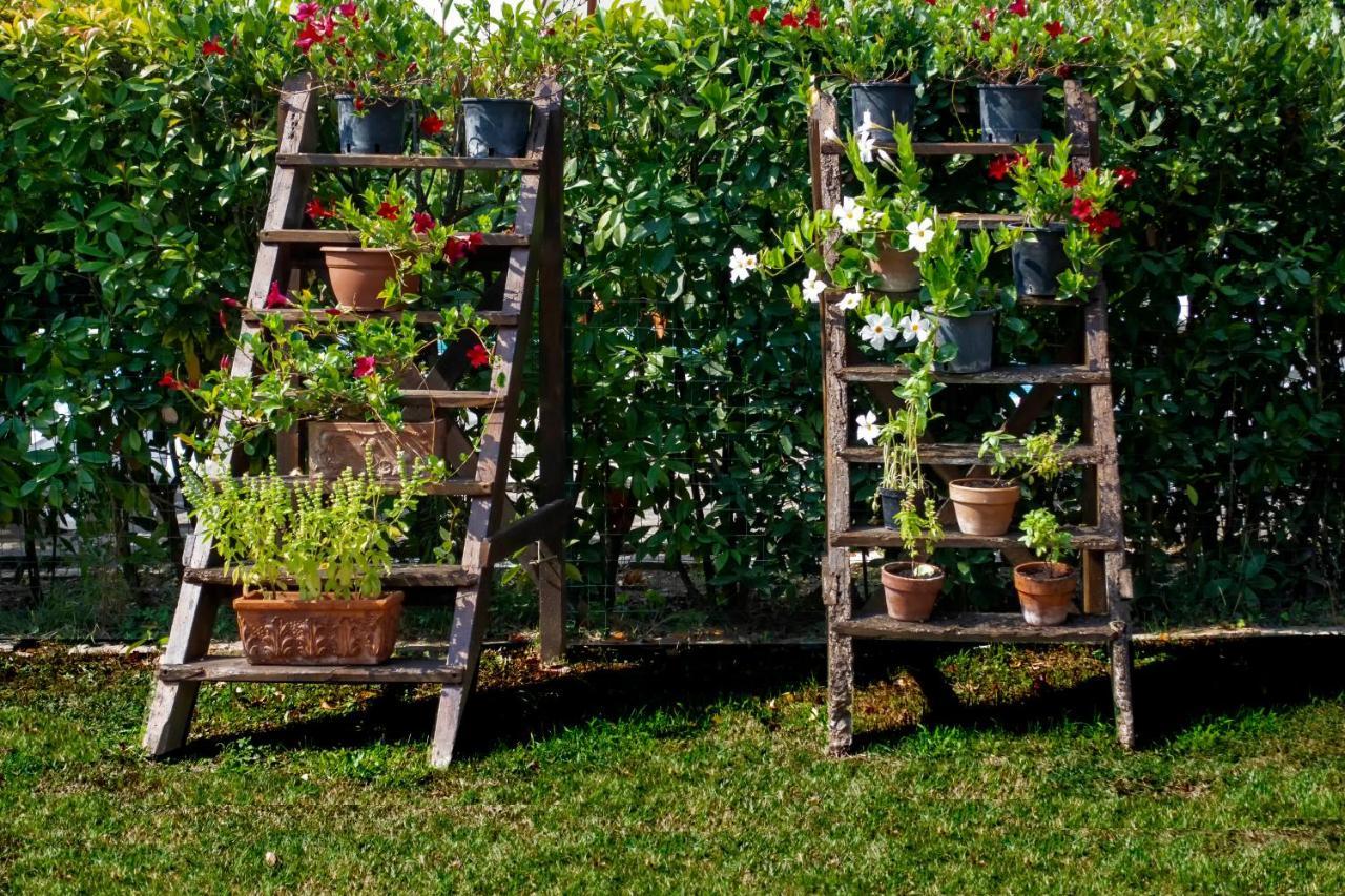 Tenuta Di Ghizzano Resort ภายนอก รูปภาพ