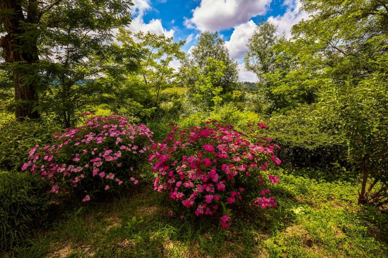 Tenuta Di Ghizzano Resort ภายนอก รูปภาพ